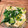 りりぱっとりん's cooksnap of when they made 小松菜としらすの煮びたし.