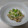 まほじょ's cooksnap of when they made ちょっと刺激的☆納豆に柚子胡椒＋マヨポン.
