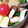 ﾋﾟﾛﾐ♡'s cooksnap of when they made エリンギとピーマンのバターしょうゆ♪.