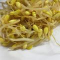 クックAUUDPW☆'s cooksnap of when they made 簡単！絶品もやしナムル♡安くて美味しい！.