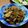 はっぴぃ☆モソモ's cooksnap of when they made 豚肉と玉ねぎの生姜焼き。.