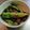 ぬこぬい戸田さん's cooksnap of when they made 万願寺とうがらしの土佐煮.