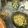 クックXEAW64☆'s cooksnap of when they made 娘達へ。.:*:・'°☆我が家の＊笹寿司.