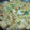 mary35's cooksnap of when they made 厚揚げとちくわでガッツリ●白菜の卵とじ.