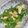 クック8MGGJ5☆'s cooksnap of when they made 常備菜19☆ピーマンと揚げのレンチン煮♪.