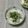 おはなすき's cooksnap of when they made 簡単！副菜、おつまみにも！しらすと葱合え.