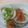kabana's cooksnap of when they made イカのマリネ.