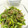 ありよ＊'s cooksnap of when they made ご飯が進む☆ししとうじゃこふりかけ♪.