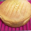 ピエタロー⭐︎'s cooksnap of when they made きめ細かい★基本のスポンジ.