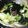 ２４☆'s cooksnap of when they made 焼肉屋さんのチョレギサラダ！.