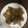 とまえさん's cooksnap of when they made 豚肉と舞茸の柚子胡椒ポンマヨ炒め.