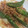 クックL97PHT☆'s cooksnap of when they made ごはんが進む！簡単！ししとう豚肉炒め.