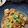 maaa。's cooksnap of when they made 簡単！鶏もものみぞれ煮.