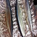 ムーミン☆ママ's cooksnap of when they made さんまの塩焼き　グリルで.