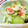 U☆kaoru's cooksnap of when they made レタスときゅうりとカニカマのわさびサラダ.