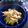 haruku221's cooksnap of when they made きのこたっぷりに炒め物.