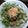 サトモユリア's cooksnap of when they made プチトマトとお豆腐のサラダ.