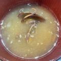 わたるんママ's cooksnap of when they made ★本当にうまい★ あさりの味噌汁.