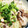 まぶたん's cooksnap of when they made ヘルシー！きのこ鍋　　蕎麦仕立て.