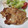 ともみろ's cooksnap of when they made 簡単！豚肉のみそ漬け.