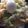 クック2H9MD0☆'s cooksnap of when they made 冷やし塩そうめん　2022.7.21.