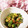 ゆるмαмα's cooksnap of when they made 簡単！5分で完成しちゃう栄養満点サラダ.
