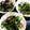 ひめ姉様's cooksnap of when they made ひじきとピーマンのオイスターソース炒め.