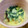ariyuch's cooksnap of when they made ♫*｡♡かんたん茶碗蒸し♫*｡♡.