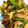 ×ハチ×'s cooksnap of when they made 舞茸と玉ねぎのバターしょうゆ炒め.