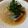 ばたみそーぱん☆'s cooksnap of when they made ノルウェー塩サバのおろし煮.