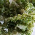 あっしゅぱぱ's cooksnap of when they made 秋を味わう♪穂紫蘇のかき揚げ.