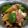 こうのとりヒロシ's cooksnap of when they made 簡単！上海の味？ベーコン・エリンギ炒め.
