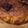 あッか's cooksnap of when they made 卵なし☆ふわふわ簡単かぼちゃケーキ.
