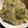 たろすけちゃん's cooksnap of when they made かぼちゃとさつまいものクリームシチュー.