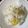 tomotoe's cooksnap of when they made わぁい、栗ごはん！ ホックホク.