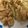 クック8PVIB8☆'s cooksnap of when they made 豚肉超えた！鶏むね肉の生姜焼き.
