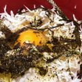 Tiger's's cooksnap of when they made かぼすと刻み海苔と卵の簡単絶品しらす丼　.