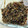 koseiクック's cooksnap of when they made 簡単！美味しい！しその実の佃煮.