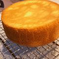 いぬわんわんわん's cooksnap of when they made 失敗しない＊ふわふわ共立てスポンジケーキ.