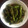 クックCOVXLM☆'s cooksnap of when they made 【今夜のもう一品】ししとうの土佐煮.