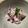 くじら食堂's cooksnap of when they made めんつゆで簡単♡しその実の醤油漬け.