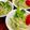 ルぴあ's cooksnap of when they made もやしと水菜のナムル.