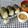 みかかめ's cooksnap of when they made ツナ油味噌.