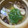 ☆smile5☆'s cooksnap of when they made 秋の味覚の王様◇基本の松茸の下処理①.