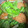 ものぐさtakky's cooksnap of when they made ふわふわ豆乳揚げだしの煮物.