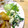 YUH♡ママ's cooksnap of when they made 簡単おかず:ほうれん草の白和え.