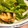 クックXSNP7N☆'s cooksnap of when they made ちくわとレタスのサラダ.