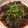 クックIB82OG☆'s cooksnap of when they made なすの煮浸し.