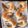 こはな✾'s cooksnap of when they made クレセントロール.