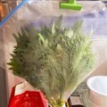 viekaie's cooksnap of when they made 目からウロコ！！！大葉の保存方法.